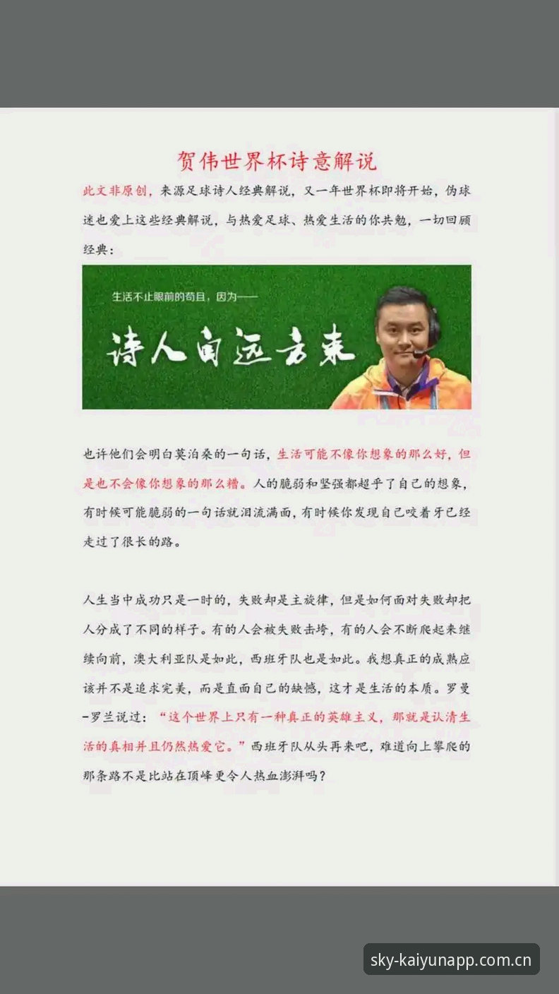 世界杯观赛签证风波与云开体育平台体验详解